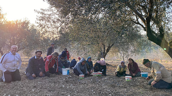 Zeytin Ekibimiz: Bir Aile, Bir Sevda, Bir Hikâye